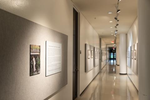 hallway showing framed works