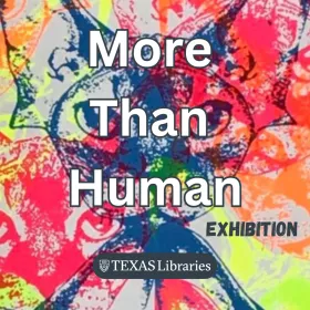 More Than Human Exhibition