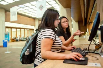 Circulation Desk browsing at computer